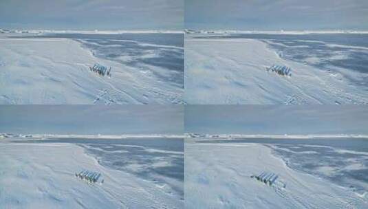 慢动作企鹅在南极洲海岸线奔跑高清在线视频素材下载
