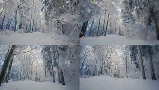 行走在雪后的森林里高清在线视频素材下载