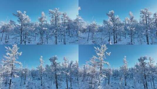 大兴安岭航拍林海雪原银装素裹高清在线视频素材下载