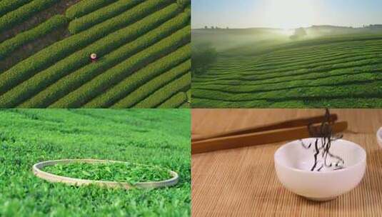 茶叶茶园茶山冲茶倒茶高清在线视频素材下载