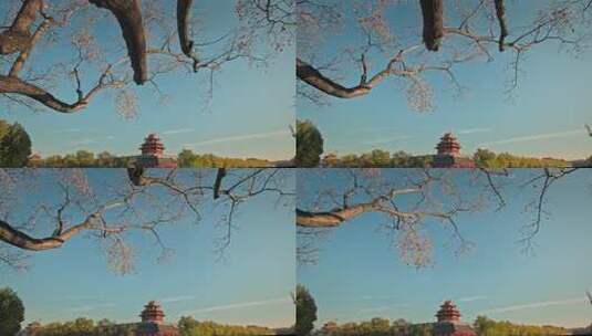 北京秋天秋季的故宫角楼高清在线视频素材下载