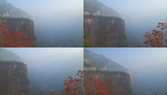 太行山红叶悬崖自然风光高清在线视频素材下载