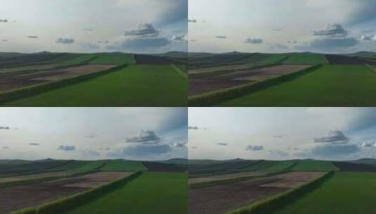 呼伦贝尔农垦垦区田野风光高清在线视频素材下载