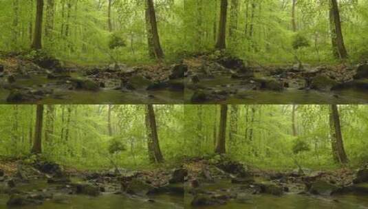 森林深处的河流高清在线视频素材下载