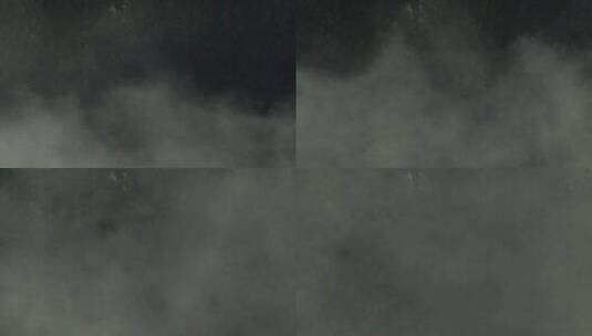被浓雾覆盖的森林高清在线视频素材下载