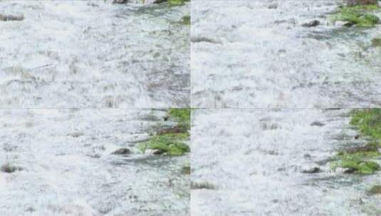 湍流的小溪高清在线视频素材下载
