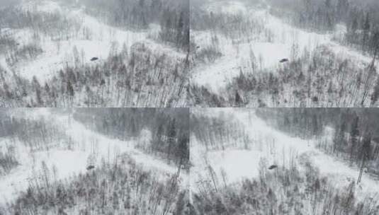 东北冬季大雪中的森林越野车行驶航拍高清在线视频素材下载