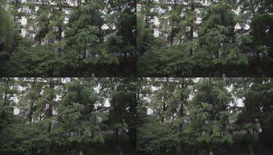 杭州五柳巷历史街区视频高清在线视频素材下载