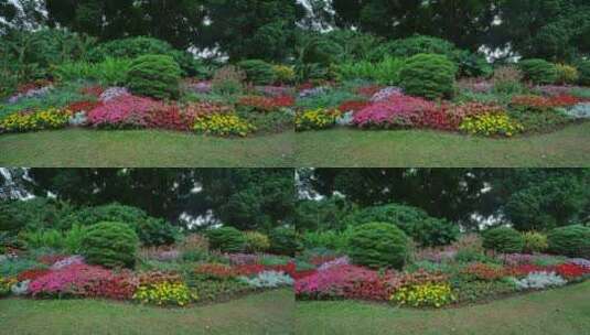 公园的花坛高清在线视频素材下载