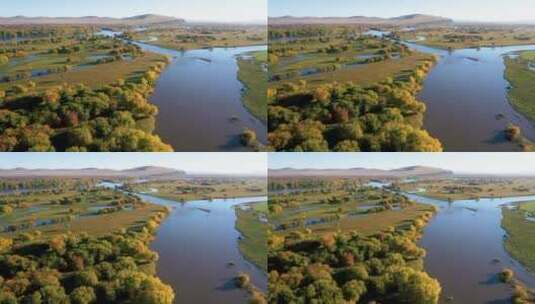 航拍秋天的呼伦贝尔额尔古纳湿地-032高清在线视频素材下载