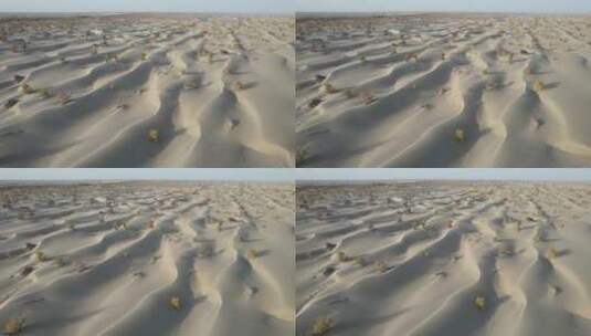原创 新疆塔克拉玛干沙漠高清在线视频素材下载