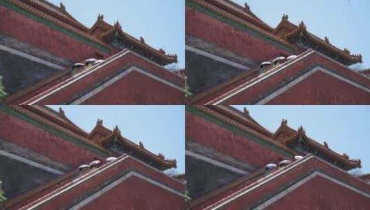 游客参观中国古建筑琉璃瓦明清高清在线视频素材下载
