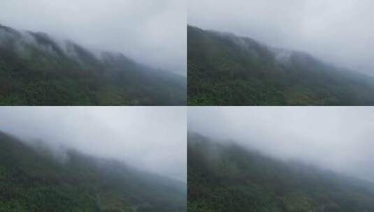 重庆北碚缙云山迎来降雨，云雾缭绕（延时）高清在线视频素材下载