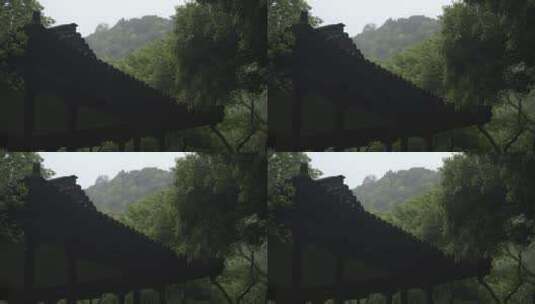 云栖竹径 杭州西湖 水墨画高清在线视频素材下载