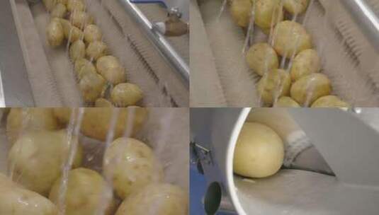 自动化蔬菜加工设备马铃薯土豆清洗削皮薯条高清在线视频素材下载