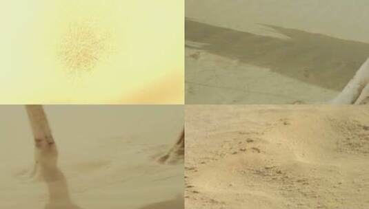 骆驼沙漠高清在线视频素材下载