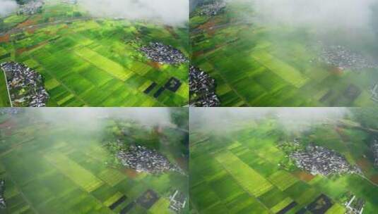 鸟瞰云雾下的绿色稻田村庄高清在线视频素材下载