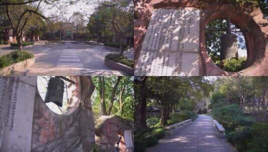 杭州西湖湖畔杭州花圃空镜头4K实拍视频高清在线视频素材下载
