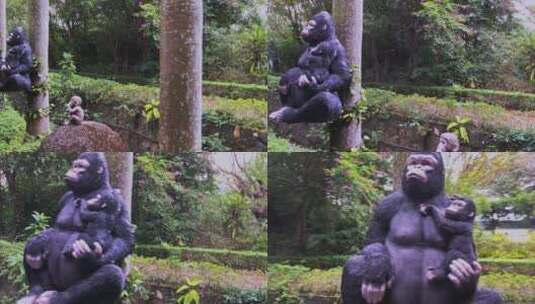 4K高清实拍在树林中穿行偶遇到一只大猩猩高清在线视频素材下载