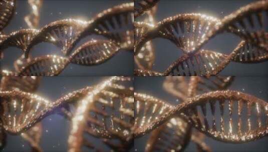 DNA双螺旋结构特写动画高清在线视频素材下载