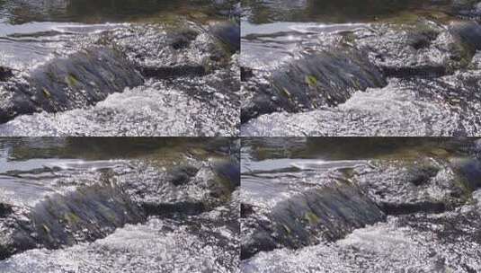 森林植物边田园小河流水风景高清在线视频素材下载