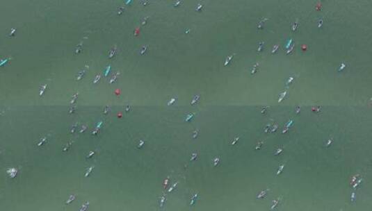 青神岷江段国际桨板赛 (12)高清在线视频素材下载