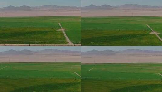 荒漠中的农田高清在线视频素材下载