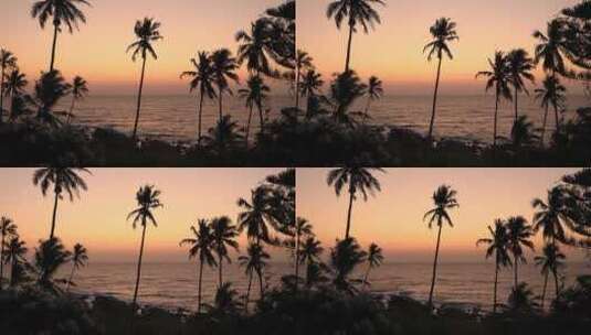 日落时海滩的椰子树高清在线视频素材下载