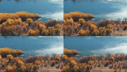 额尔古纳湿地景观高清在线视频素材下载