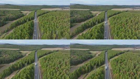森林里的公路高清在线视频素材下载
