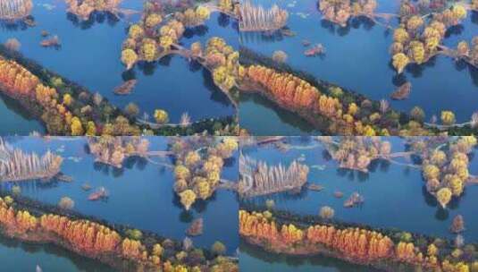 西安浐灞湿地公园秋景高清在线视频素材下载