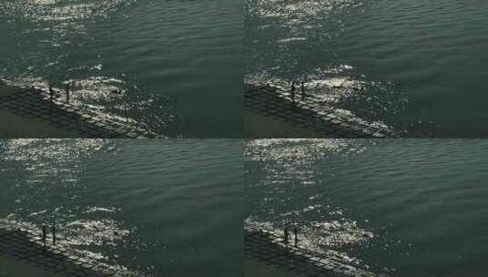 长江上的冬泳爱好者高清在线视频素材下载