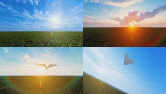 纸飞机飞过草地 飞机梦想 自由希望高清在线视频素材下载