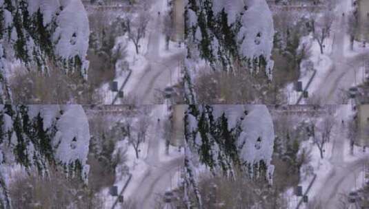 白雪覆盖的树，背景是街道，瓜达格勒，阿布高清在线视频素材下载
