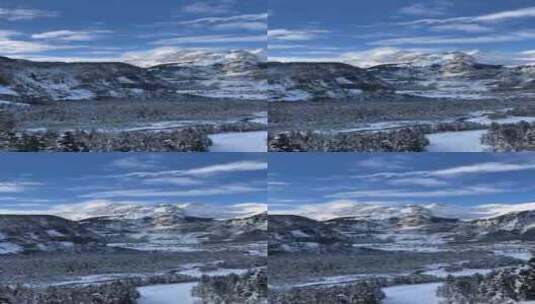 竖屏瑞士冬天雪山雪景高清在线视频素材下载