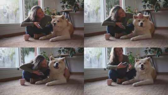 一个女人和她的秋田犬在家的爱情时刻高清在线视频素材下载