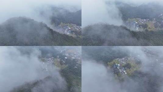 中国广西壮族自治区桂林市灵川县海洋乡银杏高清在线视频素材下载