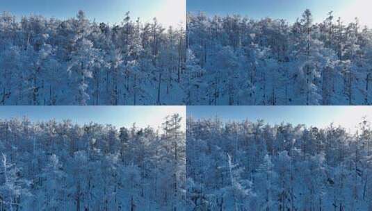 大兴安岭冰雪森林全景高清在线视频素材下载