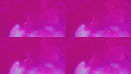 粉红色流动液体纹理高清在线视频素材下载