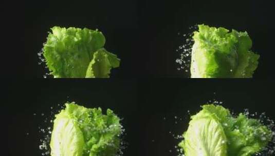 2.5K高速摄影黑底生菜叶甩水高清在线视频素材下载