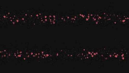 玫瑰花瓣粒子前景装饰视频素材带通道 高清在线视频素材下载