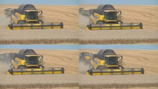收割机正在收割小麦高清在线视频素材下载