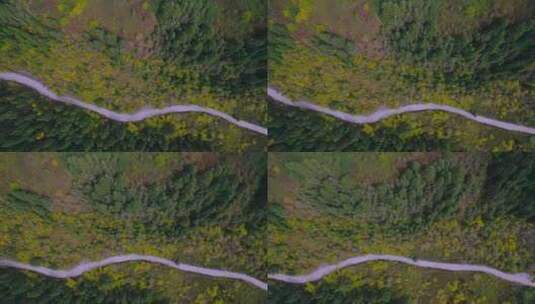 甘南达宗湖景区秋天森林公路风光俯视航拍高清在线视频素材下载