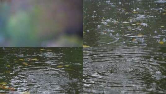 雨天湖面上的雨滴水滴涟漪-公园雨景高清在线视频素材下载