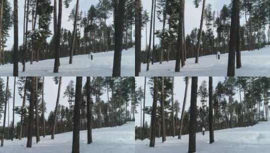 在森林小路上用滑雪板滑雪高清在线视频素材下载