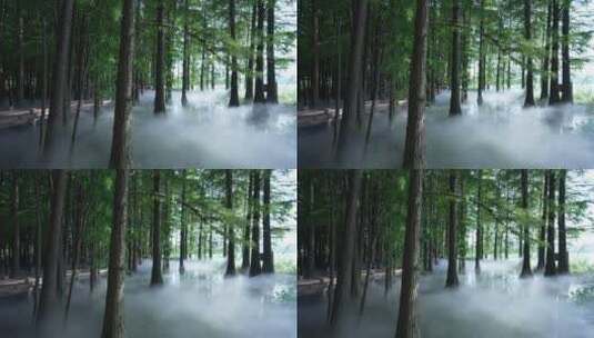 湖北武汉东湖落雁景区九曲桥高清在线视频素材下载