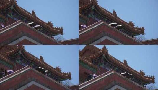 游客参观中国古建筑琉璃瓦明清高清在线视频素材下载