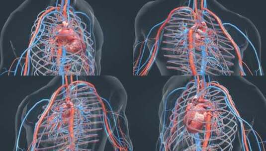 医学科技人体器官心脏智慧医疗动画高清在线视频素材下载