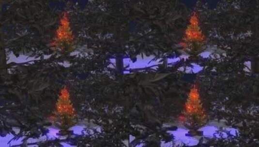 圣诞节下的圣诞树高清在线视频素材下载