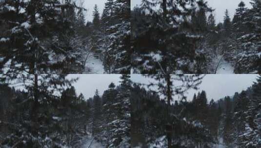 航拍积雪覆盖的山峰 森林树林 特写镜头高清在线视频素材下载